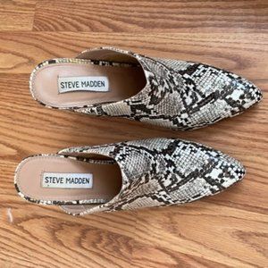 Women's Steve Madden Ditty Mule, Snake Skin, Size 6.5